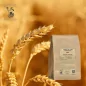 Blé graine vrac (Triticum sativum) - Apophycaire