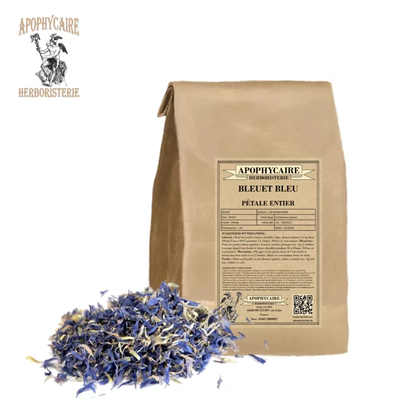 Aciano de pétalos azules (Centaurea cyanus) - Apophycaire