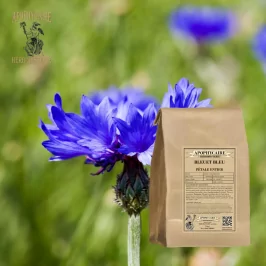 Blue petal cornflower (Centaurea cyanus) - Apophycaire