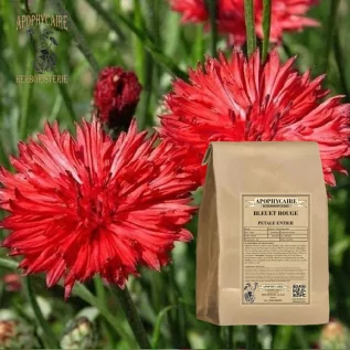 Aciano de pétalos rojos (Centaurea cyanus) - Apophycaire