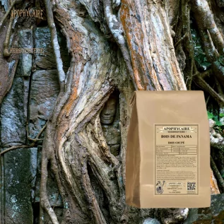 Bois de Panama - Apophycaire