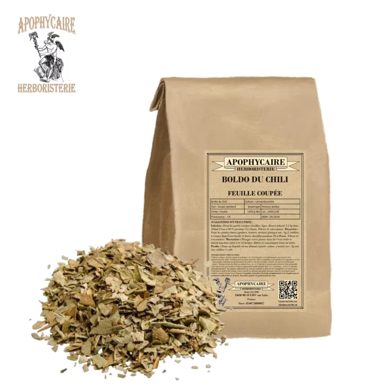 Boldo du Chili feuille coupée (Peumus boldus) - Apophycaire