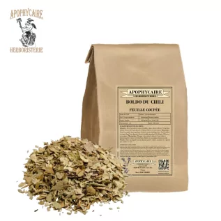 Chilenischer Boldo (Peumus boldus), geschnittenes Blatt - Apophycaire