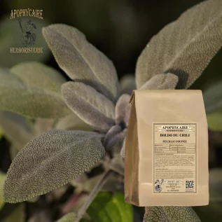 tisane Boldo du Chili feuille