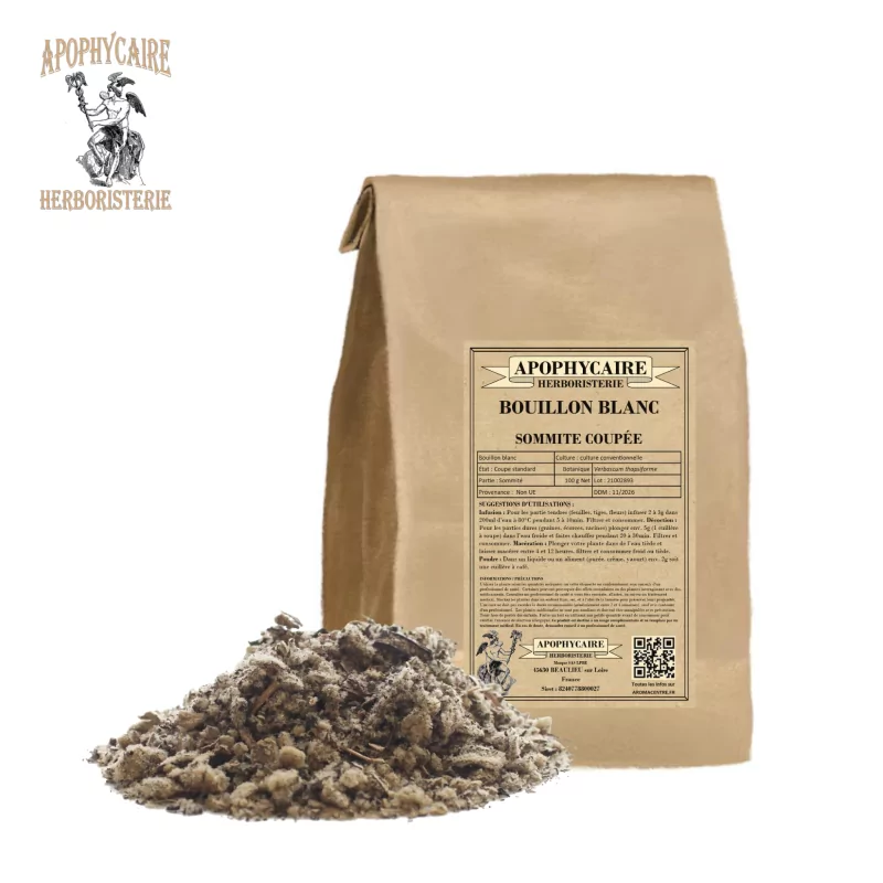 Bouillon blanc sommité coupée (Verbascum thapsiforme) - Apophycaire