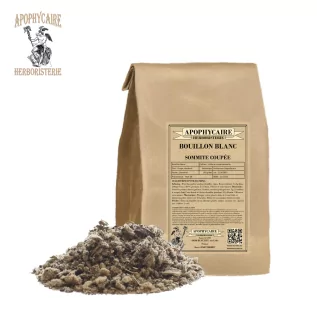 Beyaz et suyu kesik üst (Verbascum thapsiforme) - Apophycaire