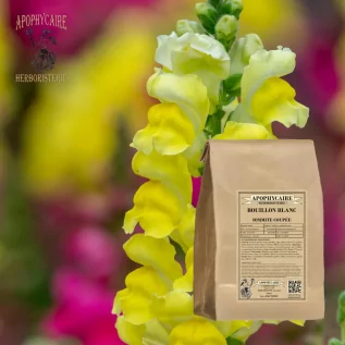 Té de hierbas de caldo blanco