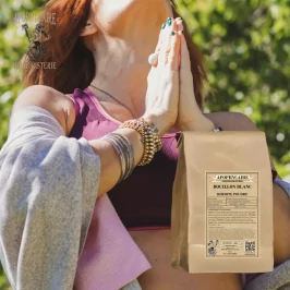 White broth powder tops (Verbascum thapsiforme) - Apophycaire