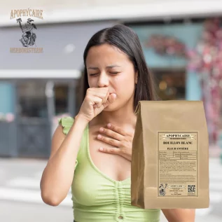 Flor de caldo blanco (Verbascum thapsiforme) - Apophycaire