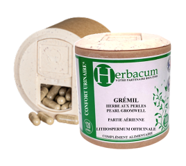 Partie aérienne, gélule (Lithospermum officinale) 250mg - Herbacum™ - Grémil