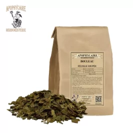 Kesik yapraklı huş ağacı (Betula alba) - Apophycaire