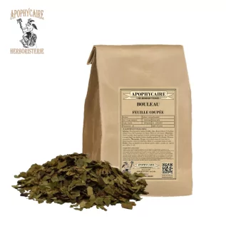 Kesik yapraklı huş ağacı (Betula alba) - Apophycaire