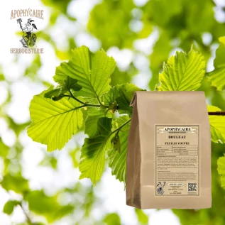 Birkenblätter-Kräutertee