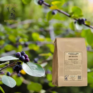 tisane Bourdaine écorce