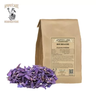 Borretschblüten lose (Borrago officinalis) - Apotheker