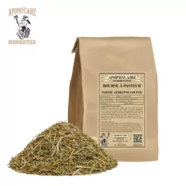 Parte aérea cortada de la bolsa de pastor (Capsella bursa pastoris) - Apophycaire