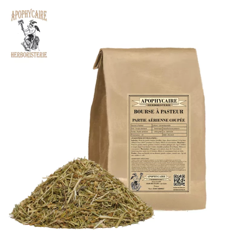 Hirtentäschel, oberirdischer Teil geschnitten (Capsella bursa pastoris) - Apophycaire Hirtentäschel, oberirdischer Teil geschnitten (Capsella bursa pastoris) - Apophycaire