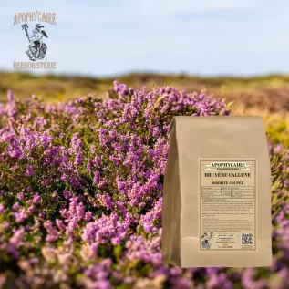 Heather Bitkisel Çayı (Calluna vulgaris) - Apophycaire