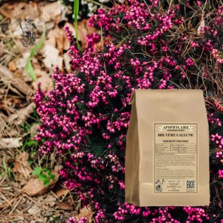 Heather Infusion (Calluna vulgaris) - Apophycaire