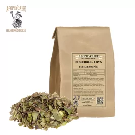 Busserole feuille coupée (Arctostaphylos uva-ursi) - Apophycaire