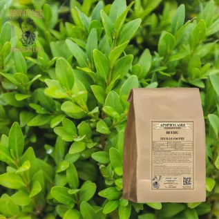 Buchu-Kräutertee (Barosma betulina) – Apophycaire