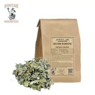 Grande Bardane feuille coupée (Arctium majus) - Apophycaire