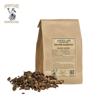 Wurzelschnitt der Großen Klette (Arctium majus) - Apophycaire