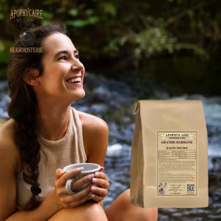 Great Burdock root powder (Arctium majus) - Apophycaire