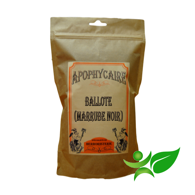 BALLOTE - MARRUBE NOIR, Partie aérienne (Ballota nigra) - Apophycaire