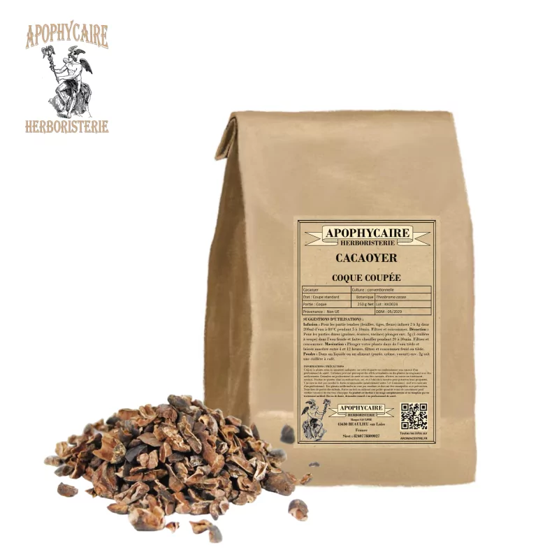 Kakao kabuğu kesimi (Theobroma cacao) - Apophycaire