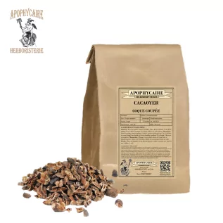 Kakao kabuğu kesimi – Theobroma cacao | Apophycarius