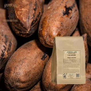 Corte de cáscara de cacao – Theobroma cacao | Apophycarius