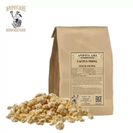 Kaktüs (Nopal) bütün çiçek – Opuntia kaktüsü | Apophycarius