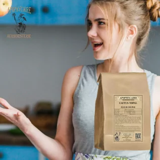 Whole flower cactus (Cactus opuntia) - Apophycaire