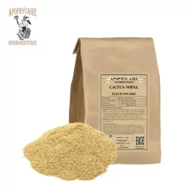 Cactus (Nopal) powder flower – Opuntia cactus | Apophycaire