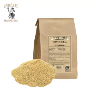 Cactus fleur poudre (Cactus opuntia) - Apophycaire
