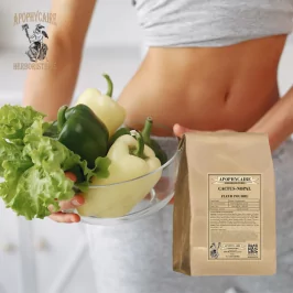 Pulverblütenkaktus (Cactus opuntia) - Apophycaire