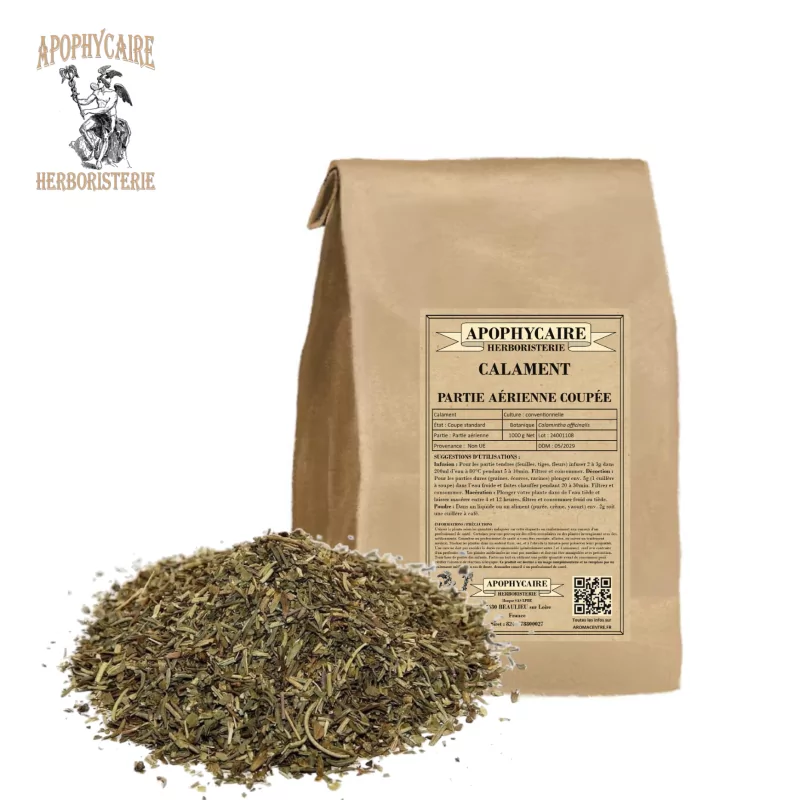 Geschnittener oberirdischer Teil der Bergminze (Calamintha officinalis) - Apophycaire