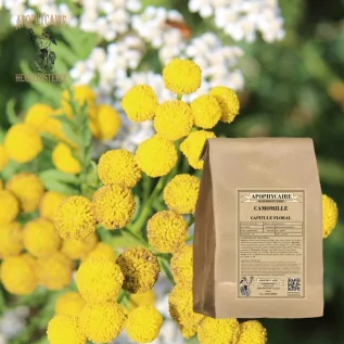 tisane Matricaire capitule floral entier - Apophycaire