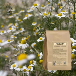 tisane Camomille romaine - Apophycaire
