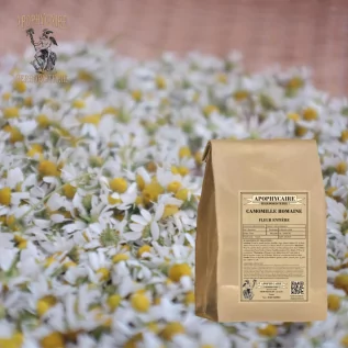 infusion Camomille romaine (Anthemis nobilis) - Apophycaire
