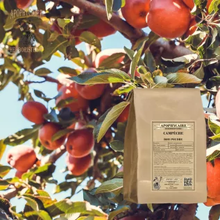 Logwood powder – Haematoxylon campechianum | Apophycaire