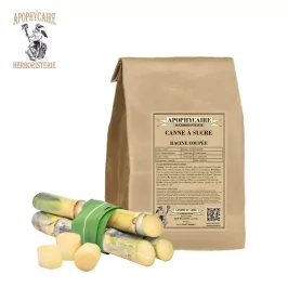 Canne racine coupée (Arundo donax) - Apophycaire