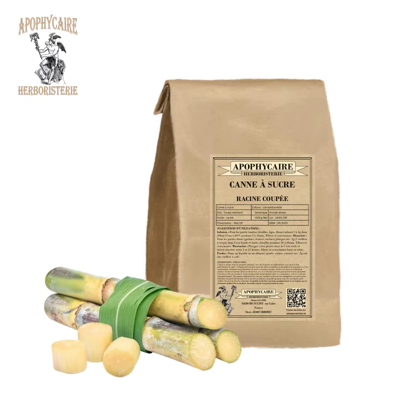 Kesilmiş kök kamışı (Arundo donax) - Apophycaire Kesilmiş kök kamışı (Arundo donax) - Apophycaire