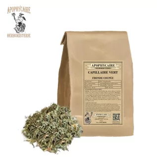 Frondas de corte verde capilar – Adiantum capillus-veneris | Apophycaire