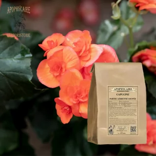 Nasturtium aerial part cut – Tropaeolum majus | Apophycaire