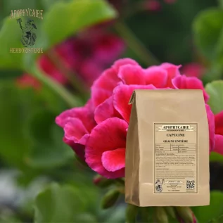 INFUSION Capucine - Apophycaire