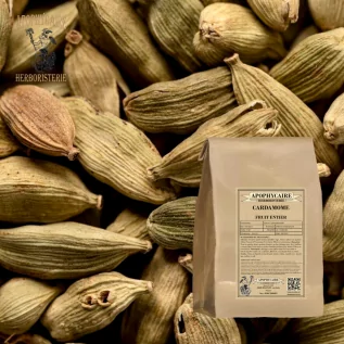 Ganze Kardamomfrucht – Elettaria cardamomum | Apophycarius