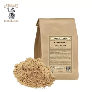Polvo de cardamomo – Elettaria cardamomum | Apophycarius