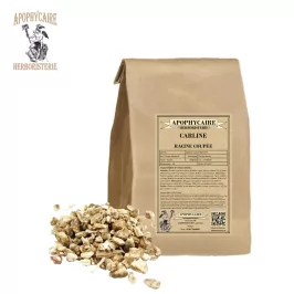 Carline cut root – Carlina acaulis | Apophycaire